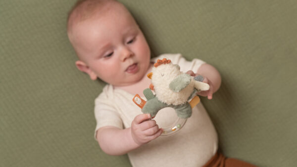 Ringrattle chicken Little Farm